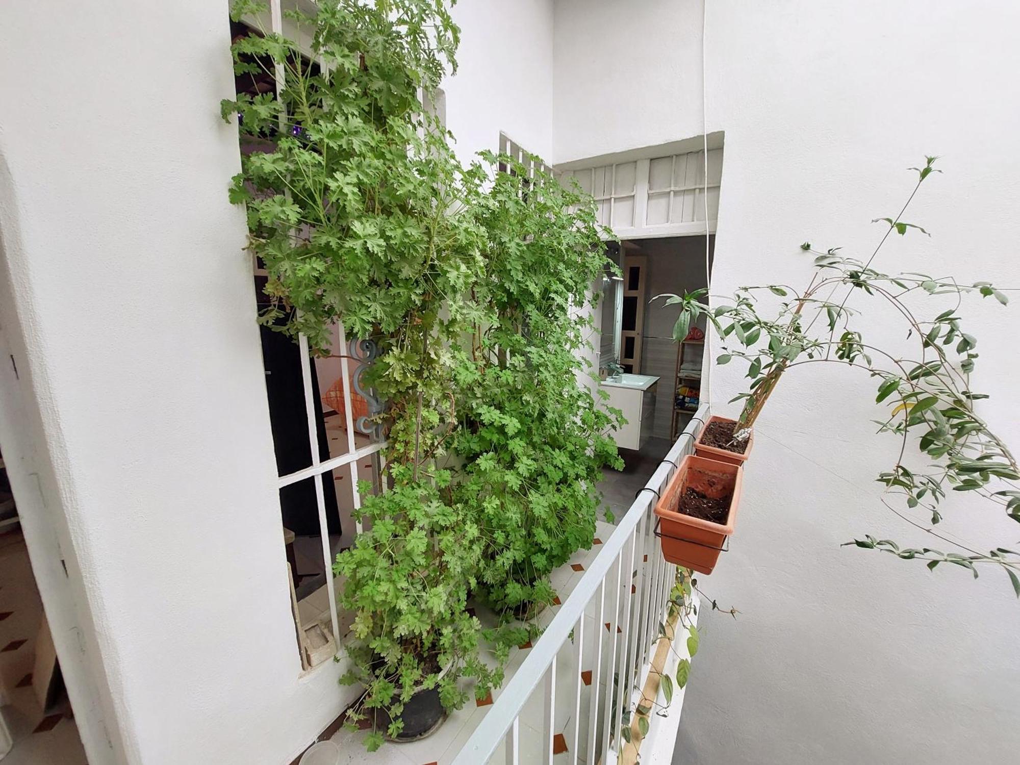 Casa Madre Gelart Patrimonio Gaditano Del Siglo Xix * San Fernando